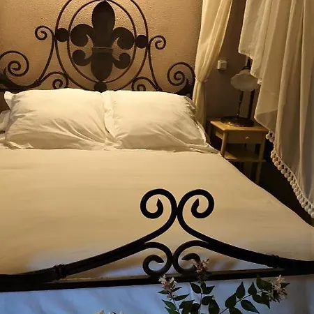 Slow House Y La De Miss Slower Villa *