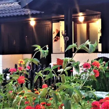 Slow House Y La De Miss Slower Villa Nigrán