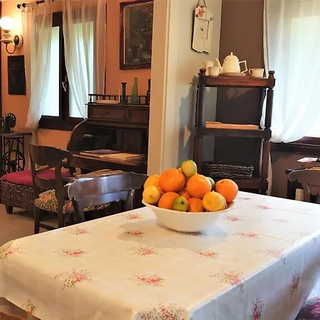 Slow House Y La De Miss Slower *