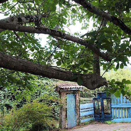 Villa Slow House Y La De Miss Slower *