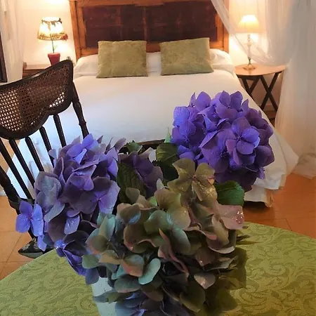 Villa Slow House Y La De Miss Slower *