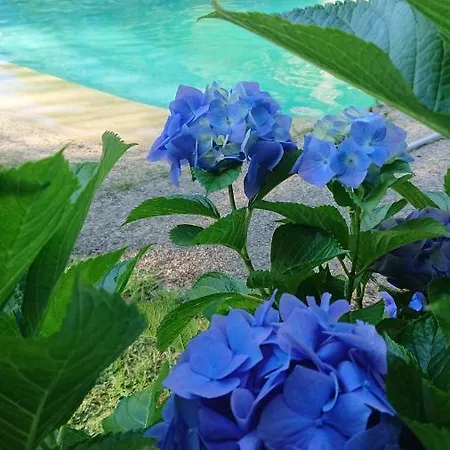 Slow House Y La De Miss Slower Nigrán