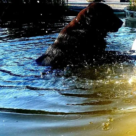 Villa Slow House Y La De Miss Slower *