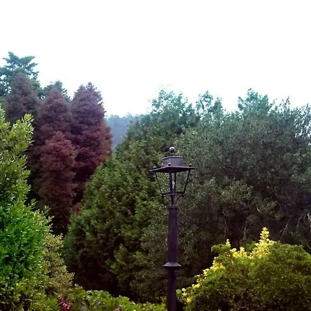 Slow House Y La De Miss Slower