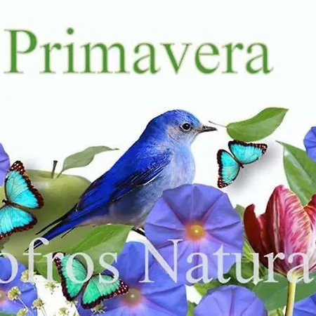 Slow House Y La De Miss Slower *