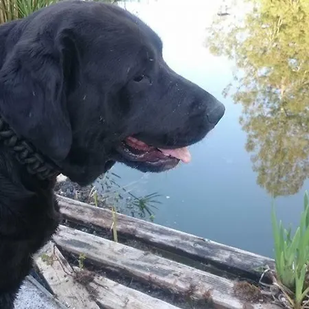 Slow House Y La De Miss Slower Villa Nigrán