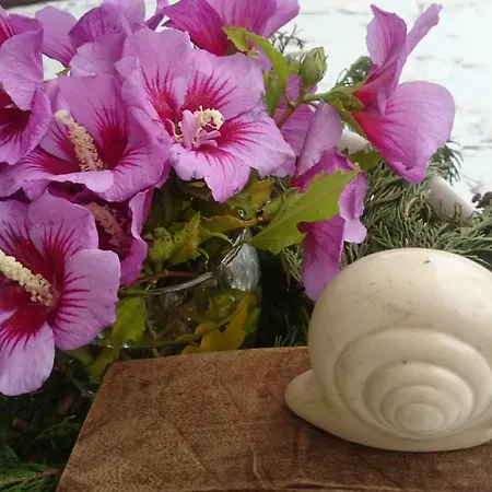 Villa Slow House Y La De Miss Slower