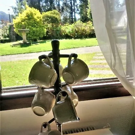 Slow House Y La De Miss Slower Villa *