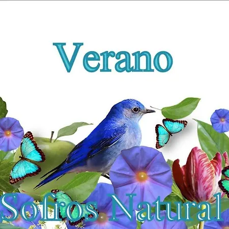 Villa Slow House Y La De Miss Slower Nigrán