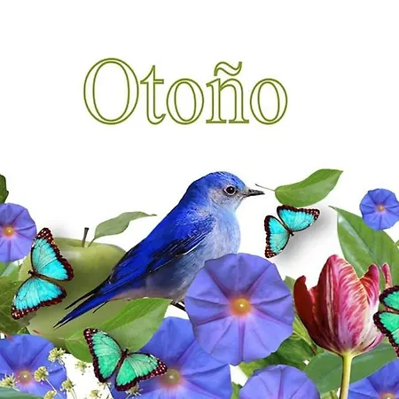 Slow House Y La De Miss Slower Nigrán